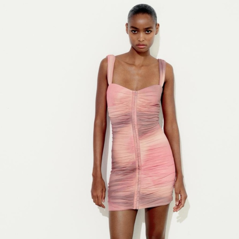 Zara Printed Tulle Dress